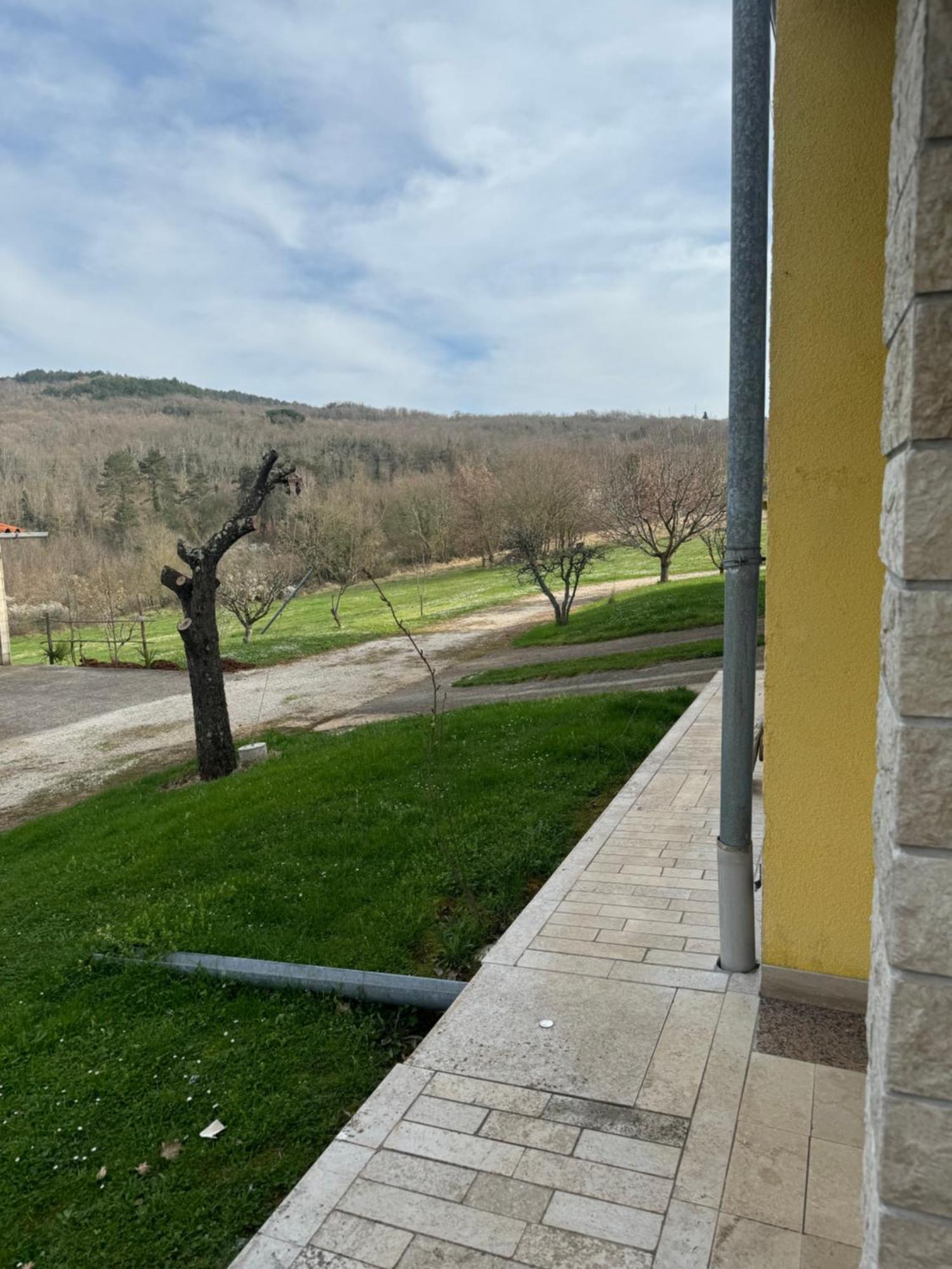 Apartmani Antonio Motovun Bagian luar foto