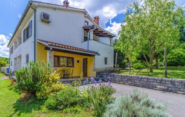 Apartmani Antonio Motovun Bagian luar foto